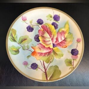 Vintage Prussia Royal Rudolstadt Decorative Plate With Berries And Flowers